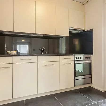 Ema House Serviced Aussersihl Curych